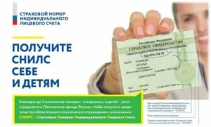 Где получить снилс на безработного