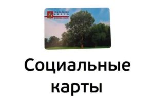 Кому положена социальная карта жителя московской области