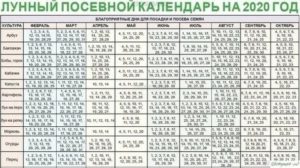 Благоприятные дни для развода в 2020 по лунному календарю