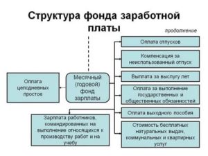 Фот и фзп отличия