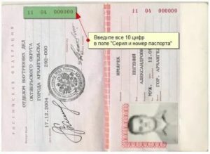 Где пишется серия и номер паспорта