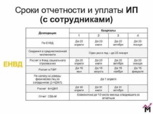 Все отчетности для ип главы кфх за 2020 сроки