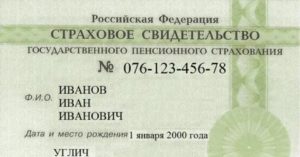 С какого года введен снилс