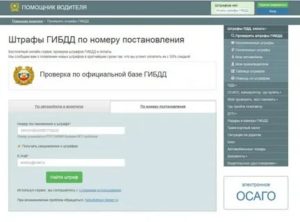 Как узнать по номер ип за что выписан штраф