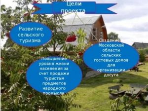 Бизнес план развития сельской территории