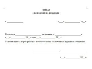 Образец приказа о назначении на должность военнослужащего