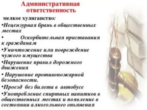 С какого возраста наступает ответственность за нецензурную брань
