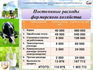 Бизнес план развития сельской территории