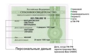 Где получить снилс гражданка украины