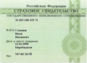 Где получить снилс гражданка украины