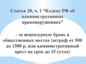 С какого возраста наступает ответственность за нецензурную брань