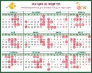 Благоприятные дни для развода в 2020 по лунному календарю