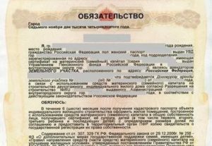 Судебная практика о невыделении долей по материнскому капиталу