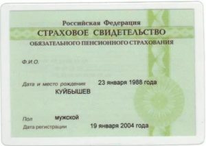 Где получить снилс гражданка украины