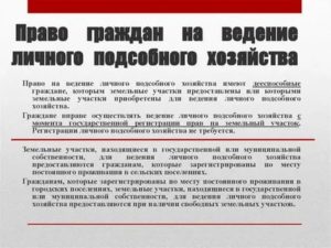 Как оформить лпх и что это дает