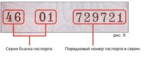 Где пишется серия и номер паспорта