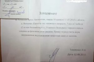 Где писать дату и подпись для заполнения заявлений