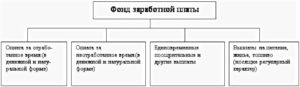 Фот и фзп отличия