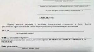 Запрос в мвд о наличии судимости образец