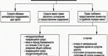 Нужно ли платить алименты по конституции ссср