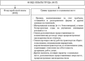 Фот и фзп отличия