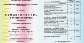 Где взять номер сертификата при оформлении водительских прав