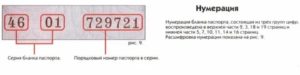 Где пишется серия и номер паспорта