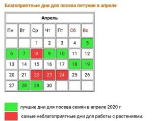 Благоприятные дни для развода в 2020 по лунному календарю