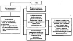 Лишение родительских прав какой суд рассматривает