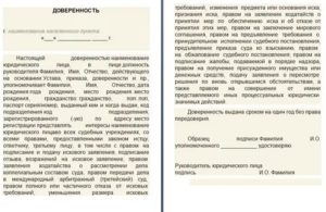Доверенность на написание заявления в полицию от фирмы образец