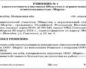 Руководитель на себя ответственность возлагает